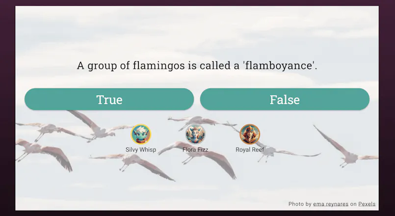 Faabul: Live Interactive Quizzes & Tests gallery image