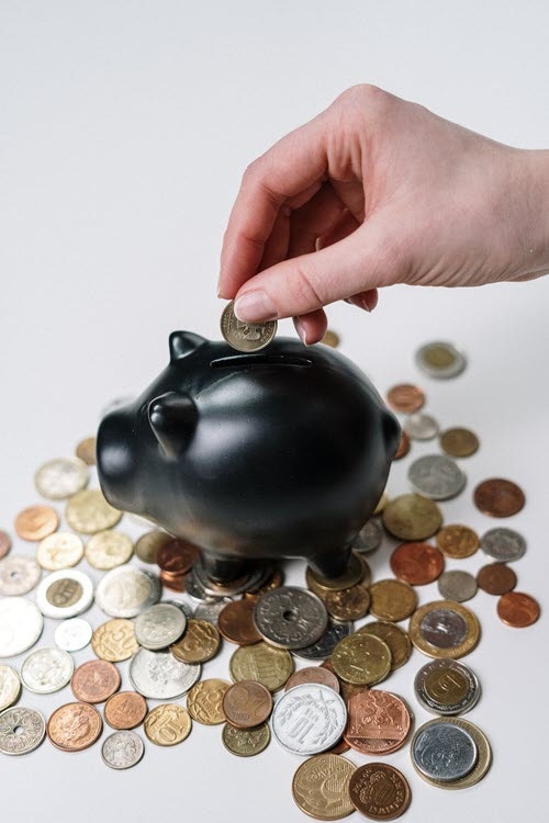 Inflationsschutz - Hecke gegen Inflation Medien 4