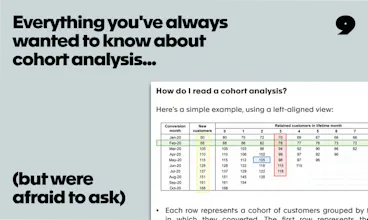 The P9 Guide to Cohort Analysis in SaaS gallery image