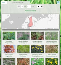 anyPlant gallery image