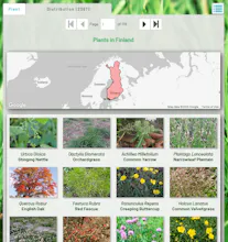 anyPlant gallery image