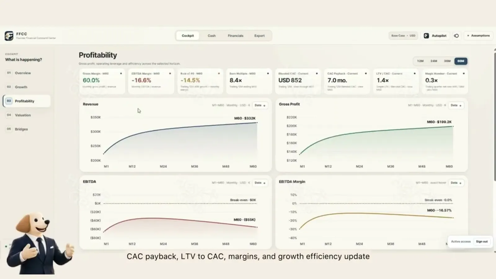 FFCC — Founder Financial Command Center screenshot 2 (video preview)