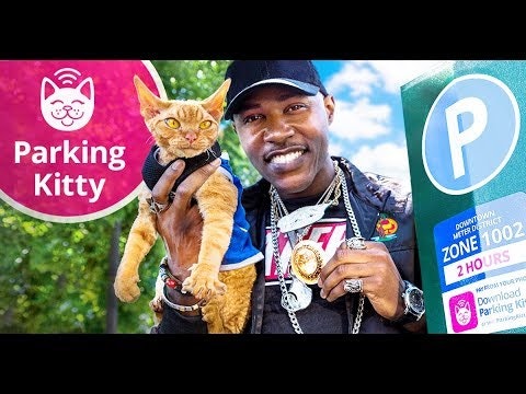 Parking Kitty gallery image