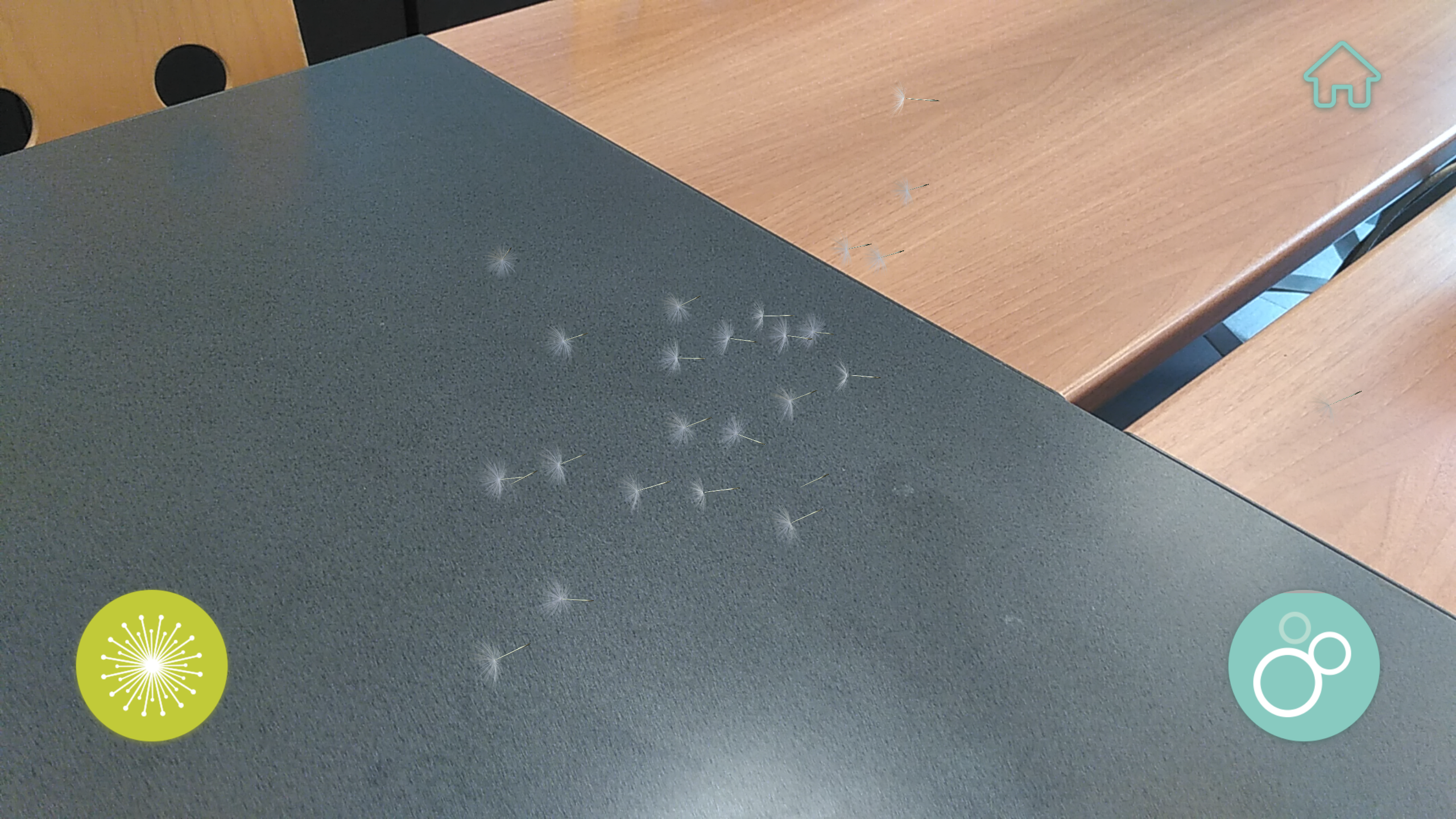 Bubbles gallery image