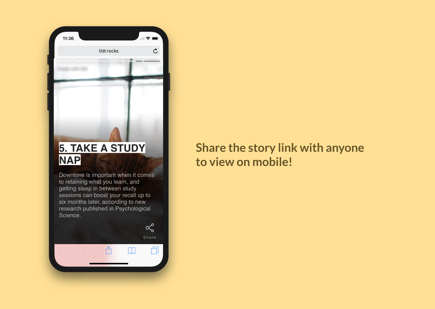 TLDR Web Stories Creator gallery image