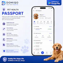 DOMIQO gallery image