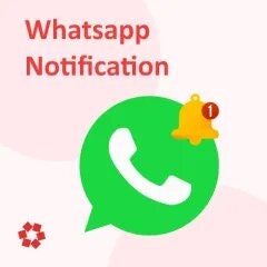 WhatsApp 알림
