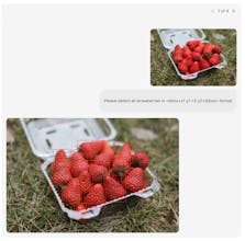 Seed1.5-VL gallery image