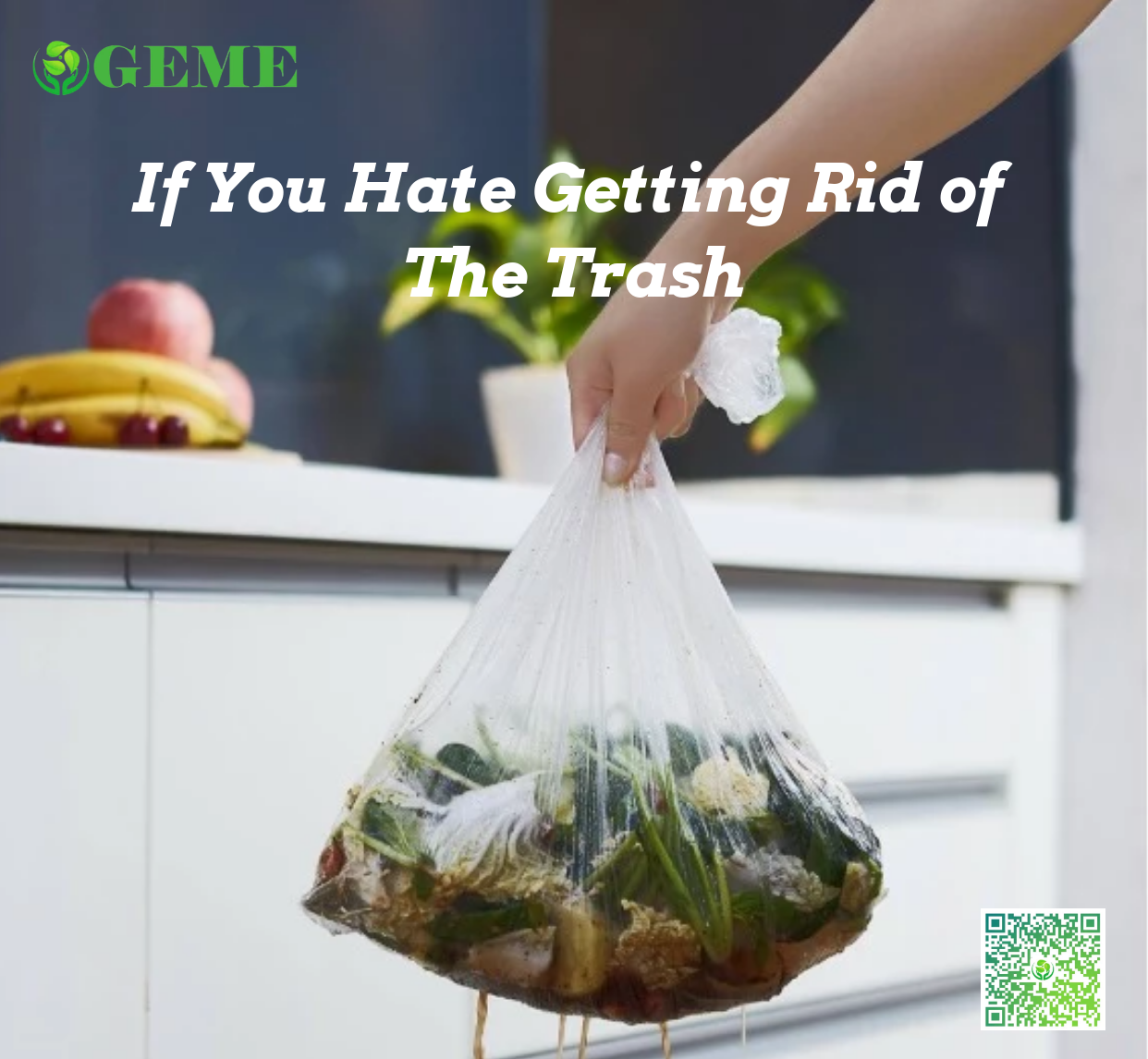 Geme - A true bio organic FoodRecycler  gallery image