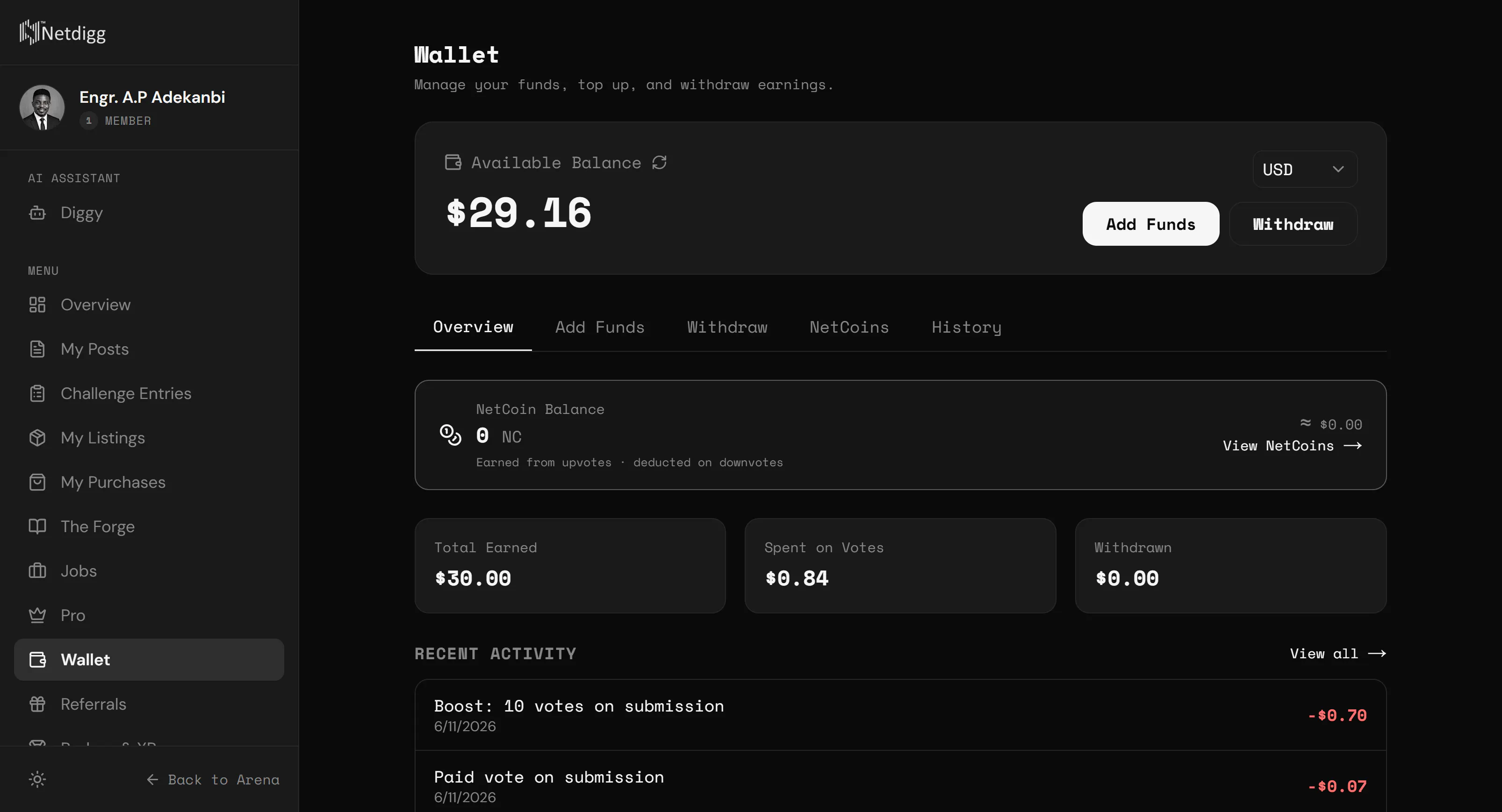 Netdigg gallery image