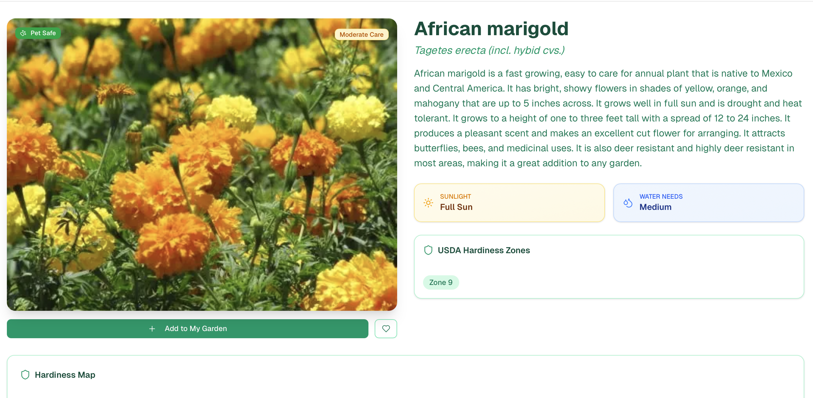 Fernly gallery image