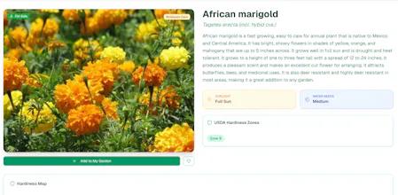 Fernly gallery image