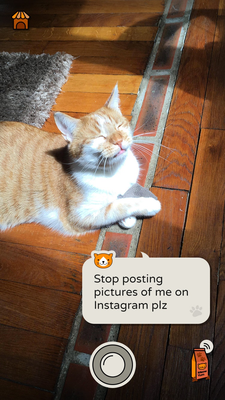 Frimousse Image