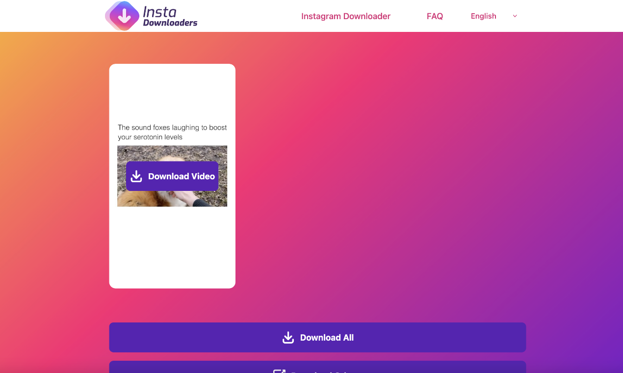 Instadownloaders media 3