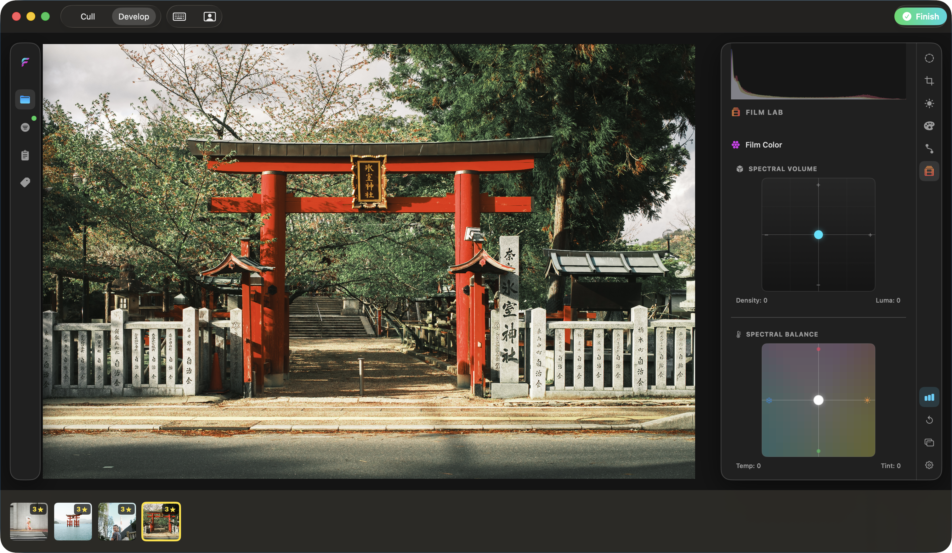 Fovea (Beta) gallery image