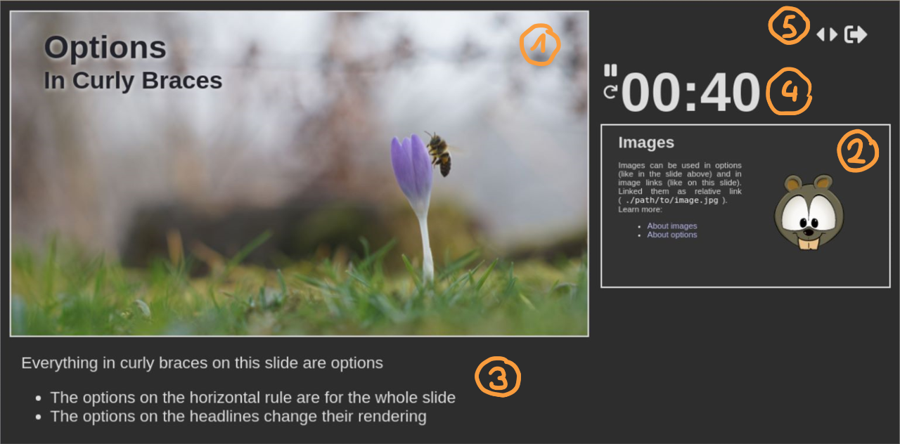 marmota.app gallery image