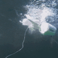 Fathom One