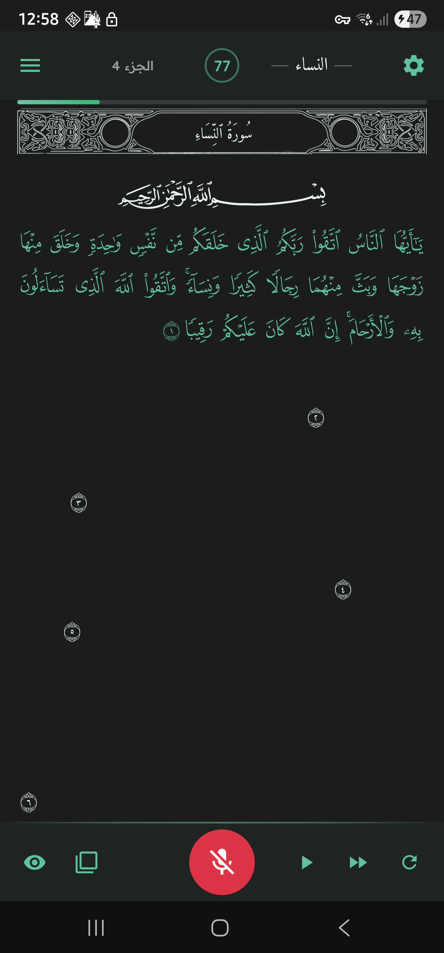 HifzPath gallery image