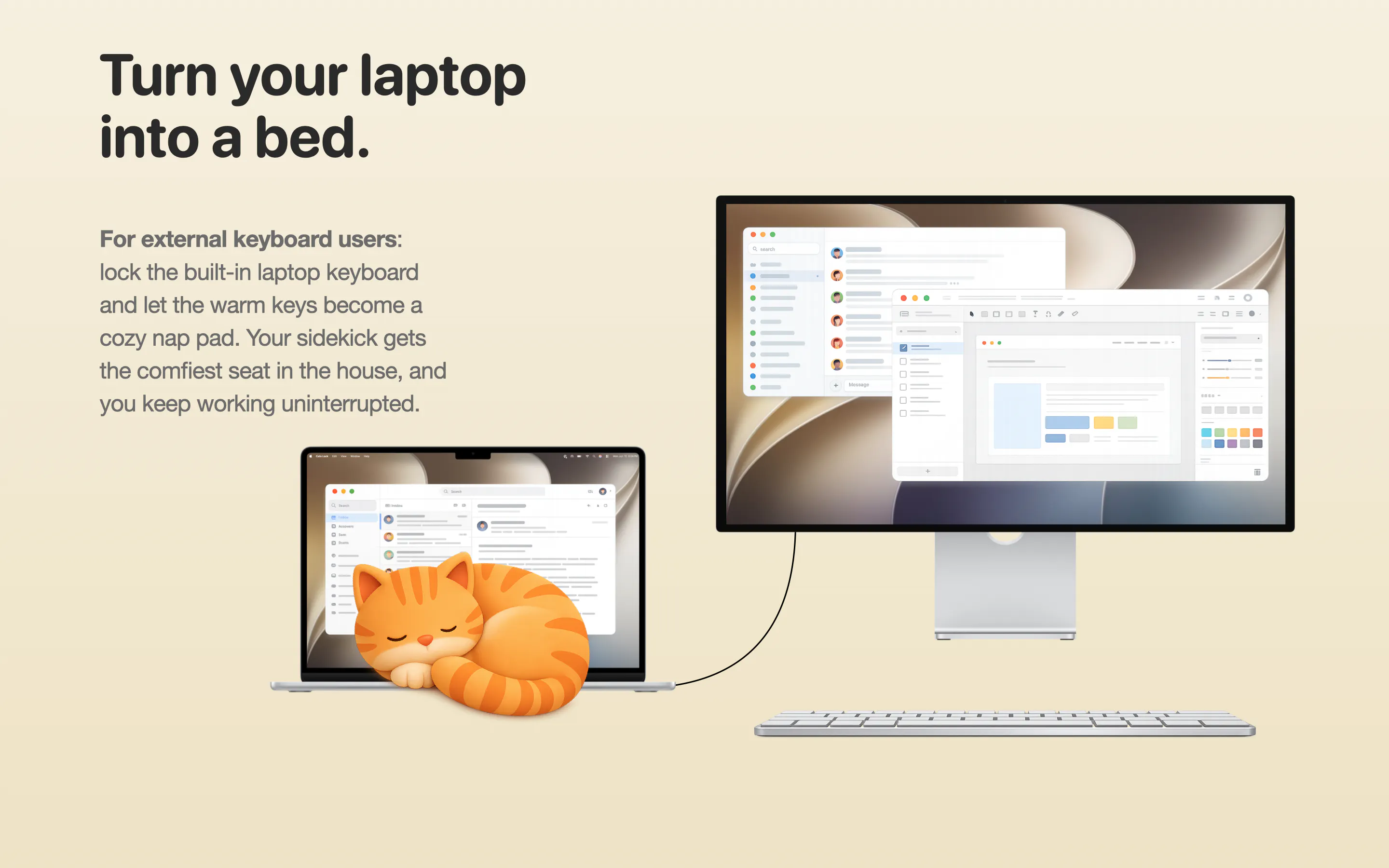 Cats Lock gallery image
