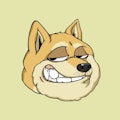 Doge club