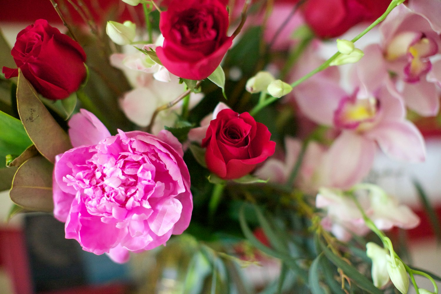 Ace Blooms gallery image