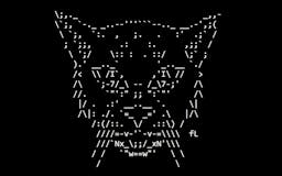ASCII Cats media 2