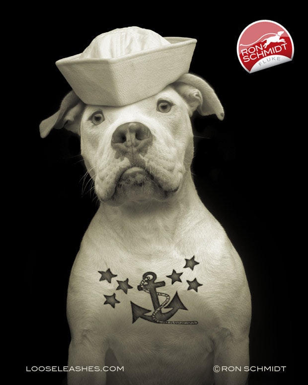 Loose Leashes gallery image