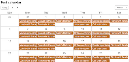 Modern Google Calendar Embed gallery image