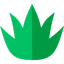 Leaf PHP