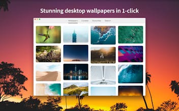 Splashify v2 gallery image
