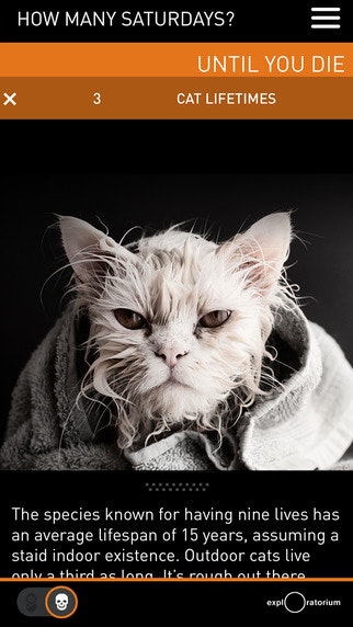 How Many Saturdays gallery image