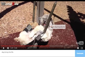 Jotvid gallery image