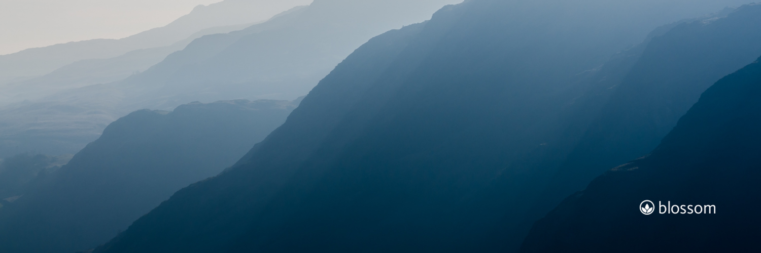 ProductHunt banner for @blossom