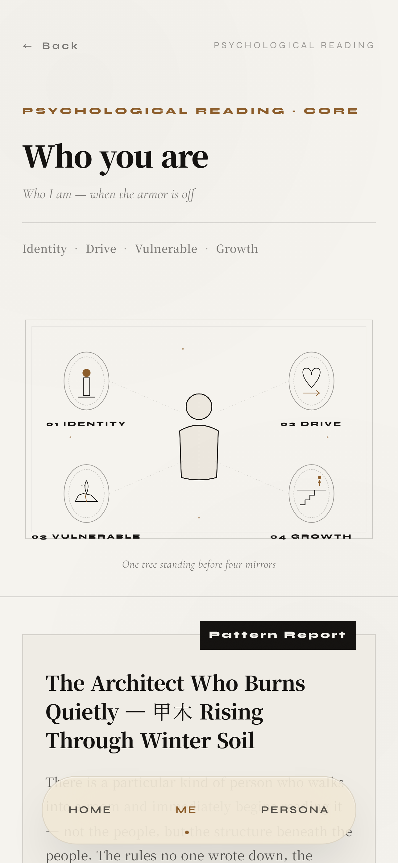 Auvylo gallery image