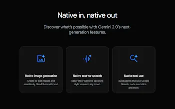 Gemini 2.0 Flash gallery image