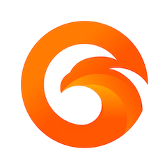 Xeagle Browser-Video скачать