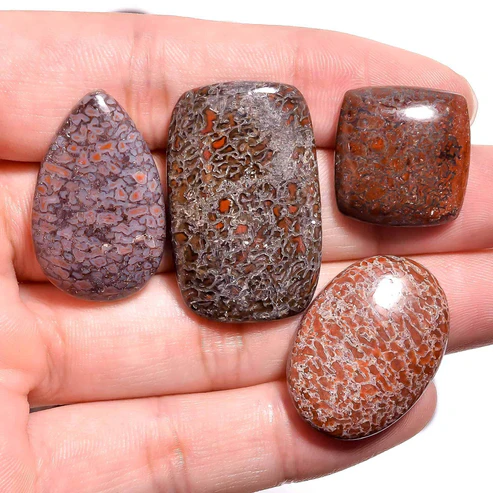 Natural Dinosaur Bone Jasper Cabochons
