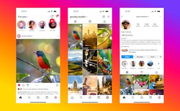 Instagram - UI Kit 1.0 gallery image