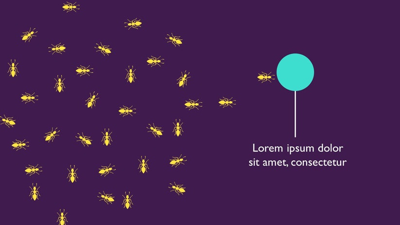 Slioto gallery image