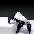 HEXA