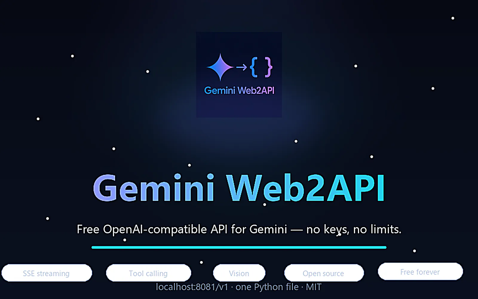 Gemini Web2API screenshot 2