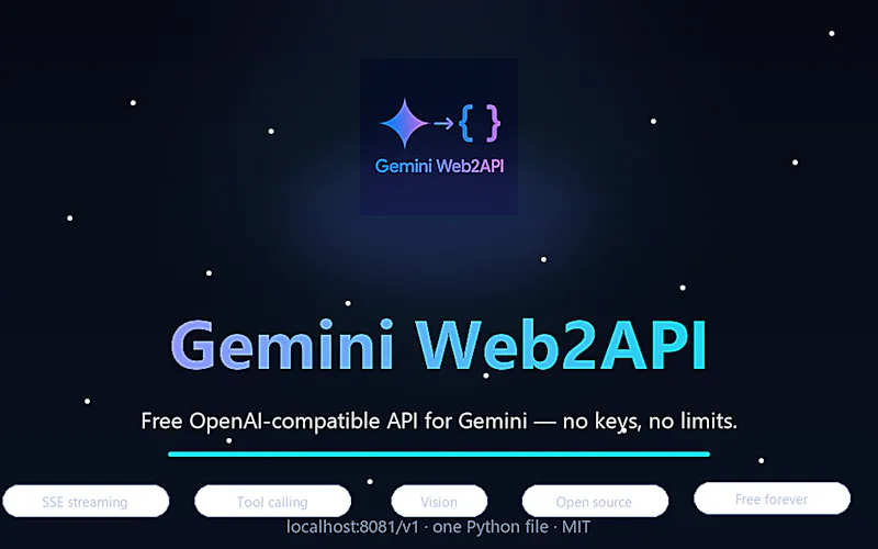 Gemini Web2API screenshot 2