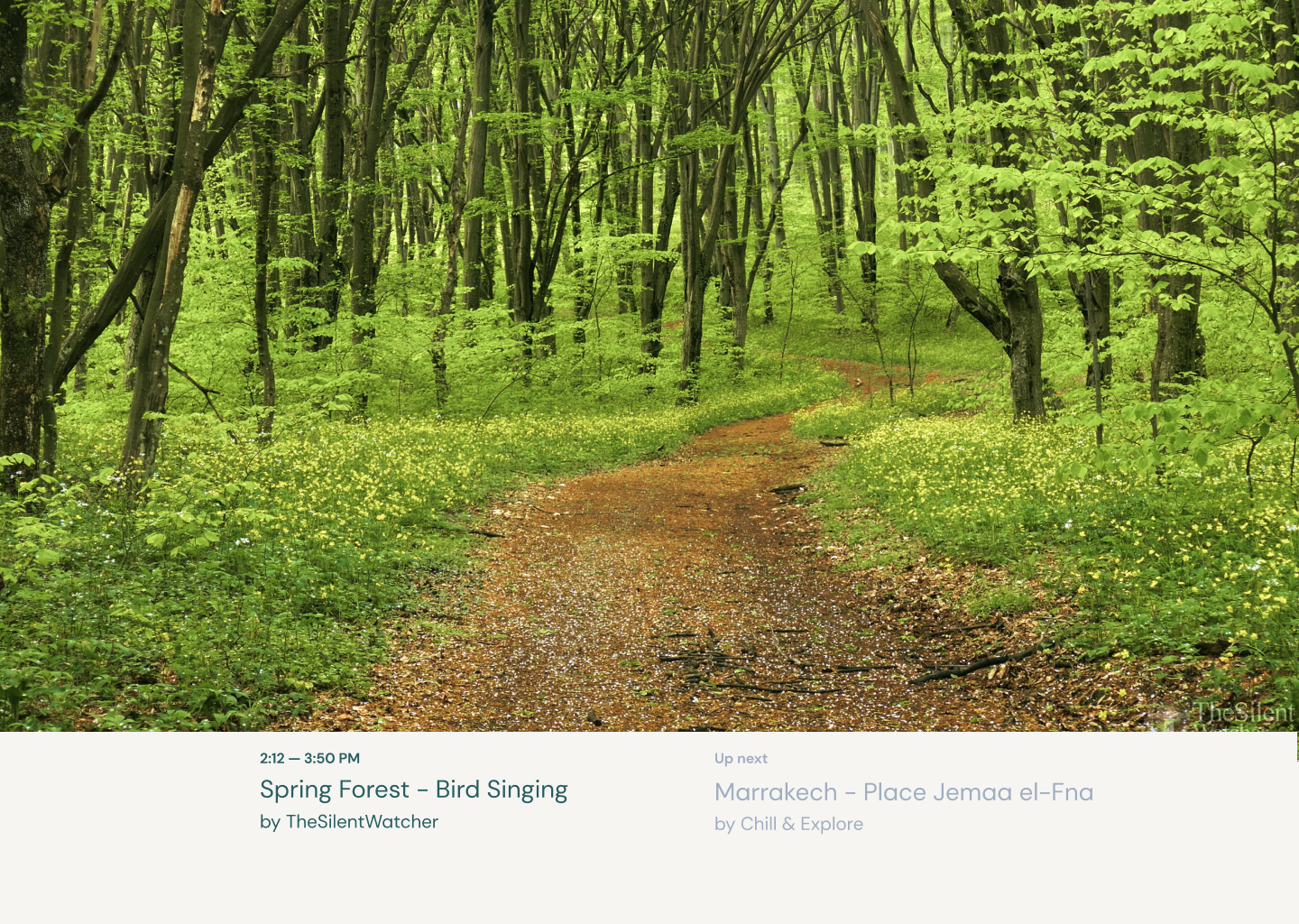 Escapista gallery image