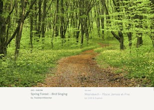 Escapista gallery image