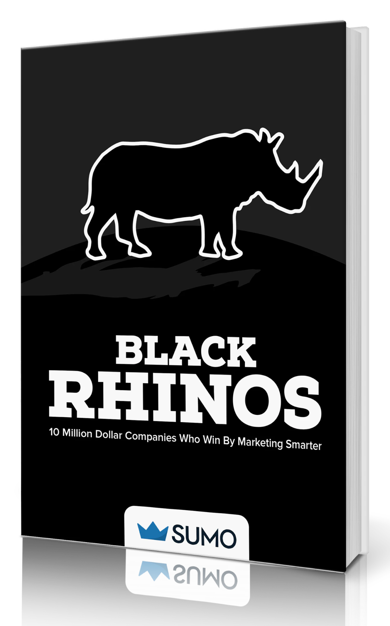 Black Rhinos by Sumo Image