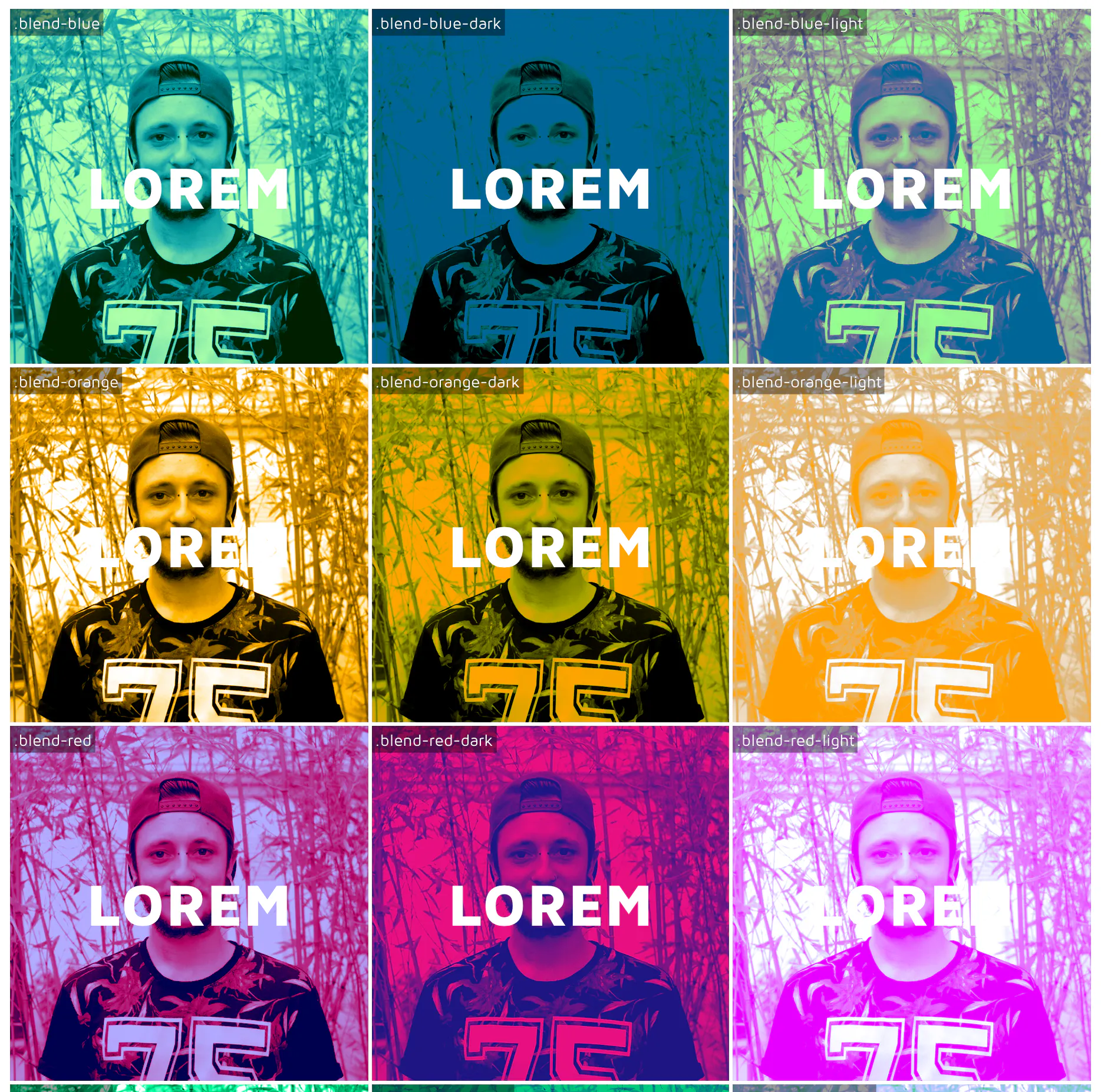 Colofilter.css