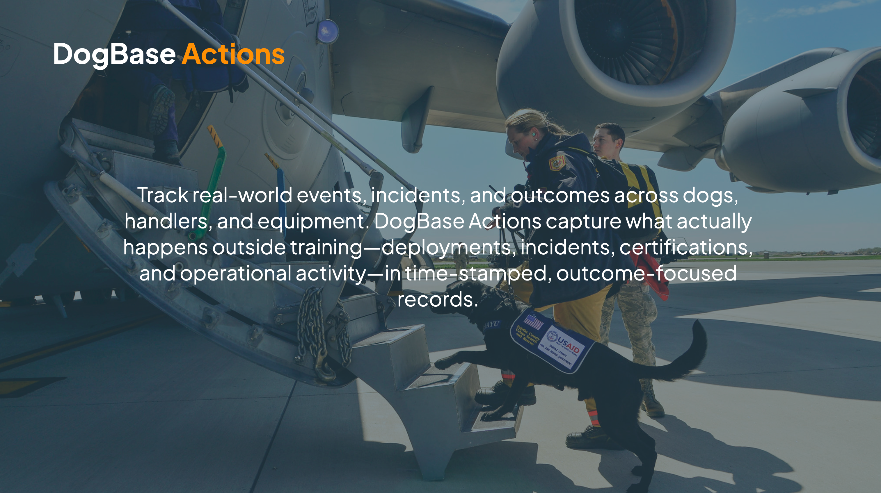 DogBase gallery image