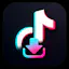 TikTok Video Downloader