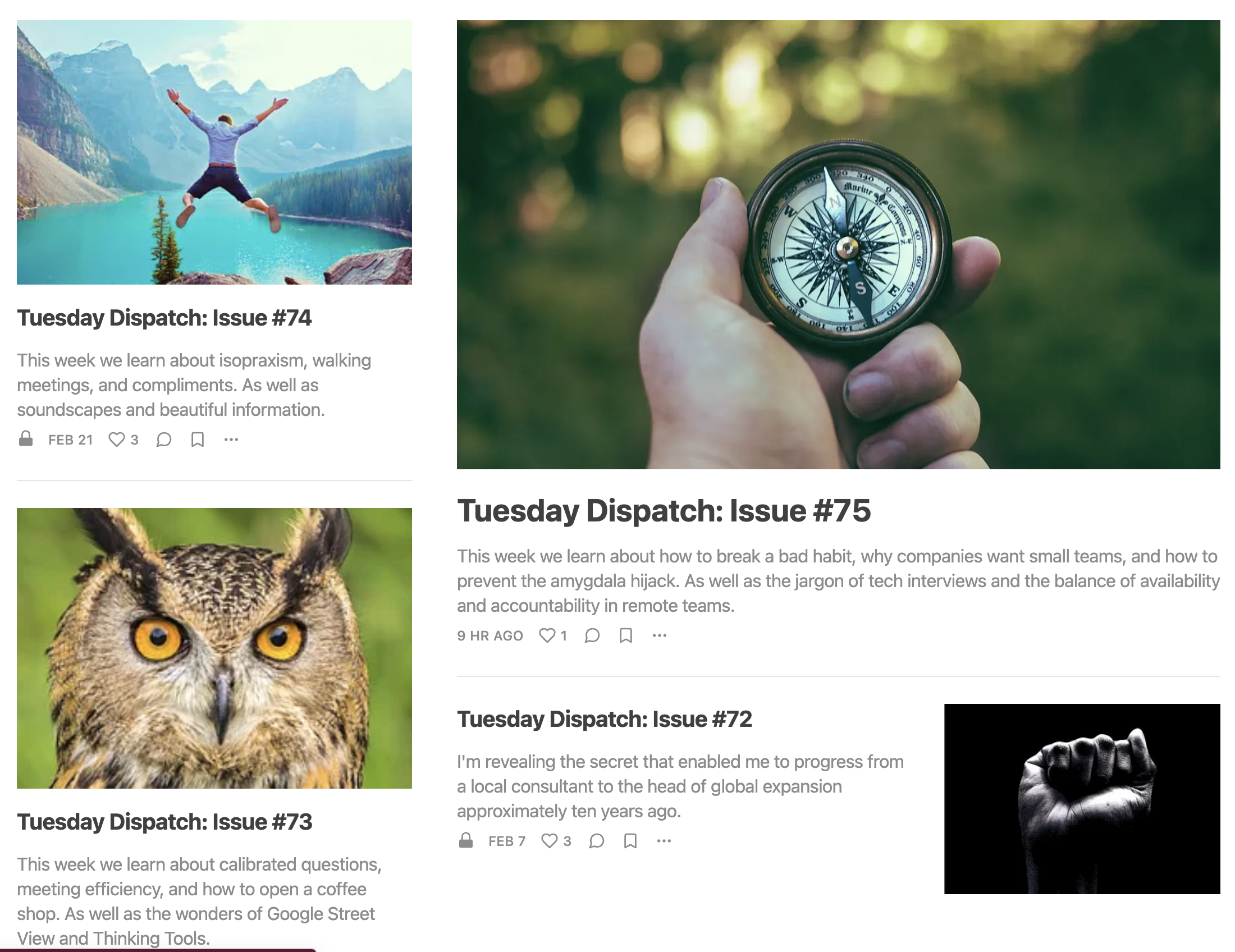 The Owl and The Beetle gallery image