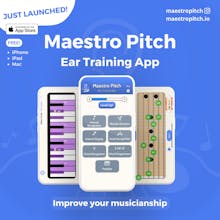 Maestro Pitch gallery image